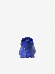 ウィメンズ TNF×IKB ベクティブエンデュリス III（レディース）